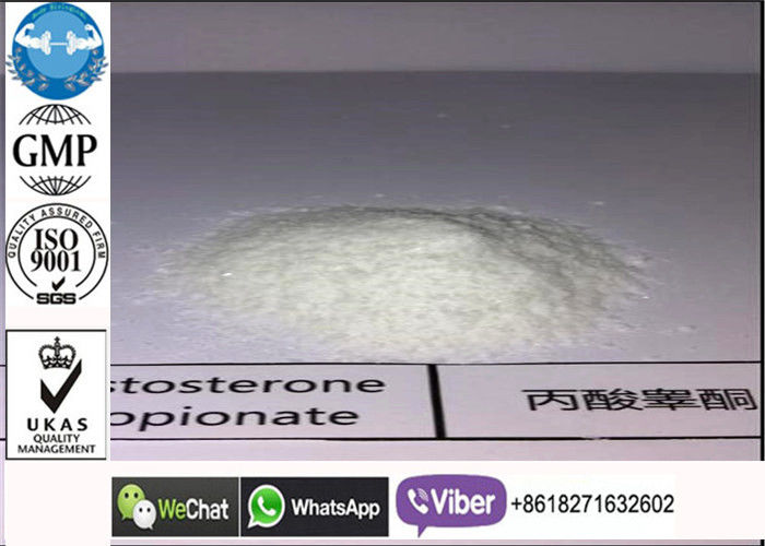 521-12-0 polvere del proponiato del testosterone, steroidi ammassanti legali del puntello crudo bianco della prova