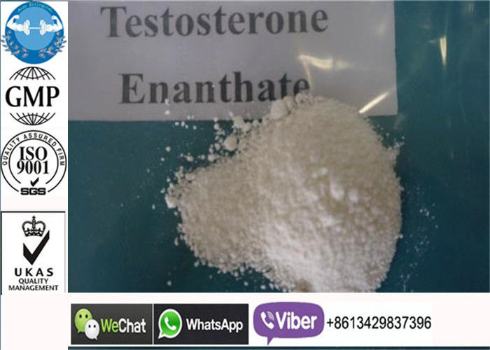 Prova potente E/polvere steroide Enanthate del testosterone per i supplementi di culturismo