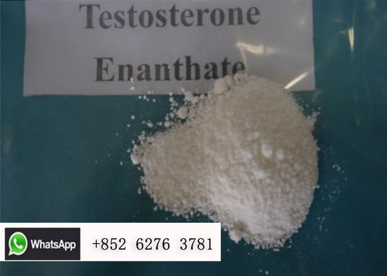 Ormone di sesso maschile di CAS 315-37-7 degli steroidi della polvere di Enanthate del testosterone di purezza di 99%
