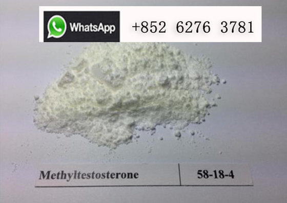 Methyltestosterone di CAS 58-18-4 dello steroide anabolizzante del testosterone di supplemento di culturismo