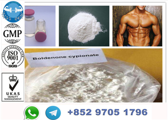 CAS 106505-90-2 Boldenone Cypionate, supplementi iniettabili degli steroidi di guadagno del muscolo