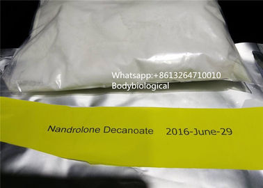 Polvere iniettabile di Decanoate delle nandrolone degli steroidi anabolizzanti sani di Deca